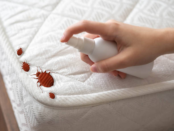 Pest Control Cost in Ridgeville, SC